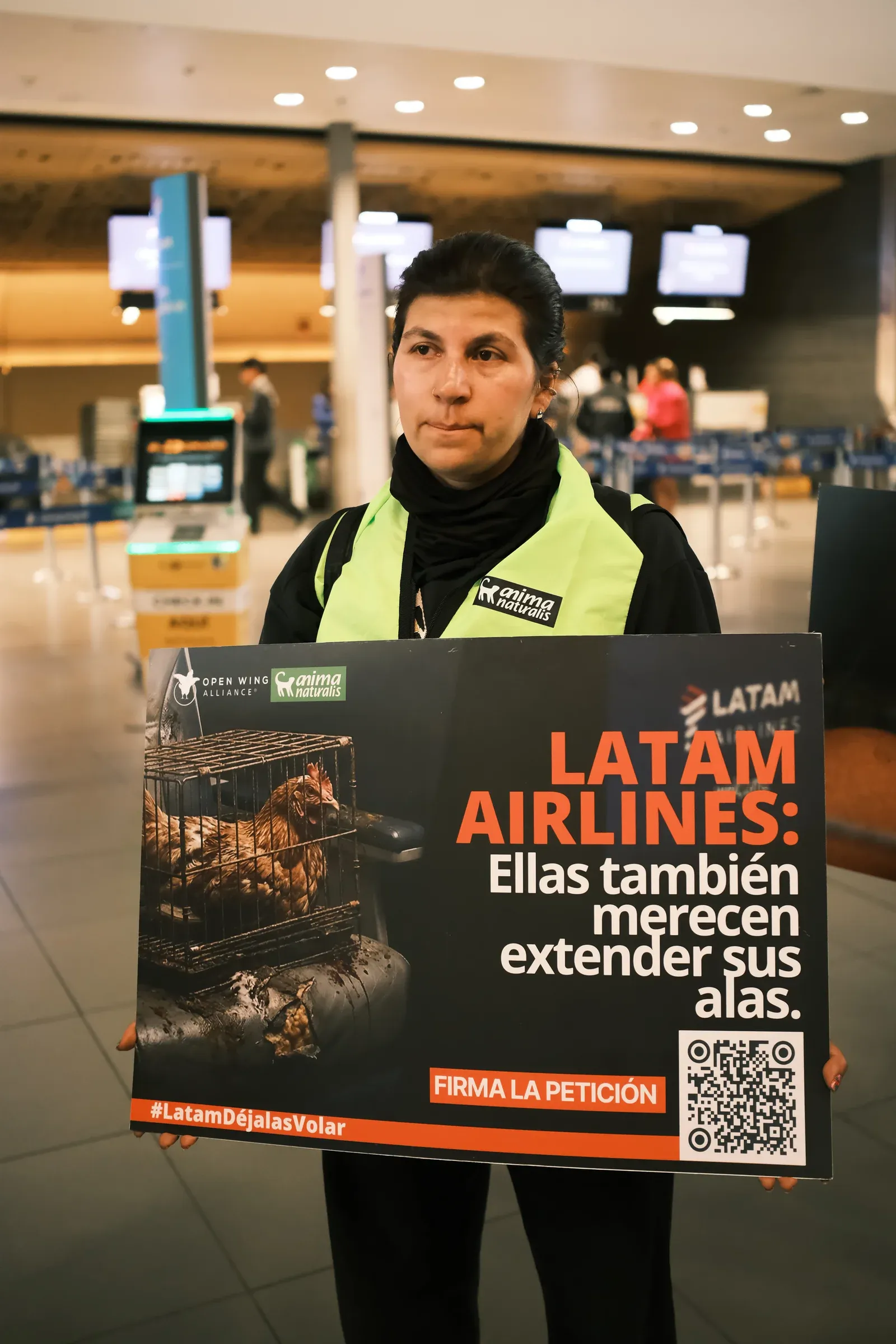 Una activista con chaleco sostiene un cartel con la foto de gallinas enjauladas que dice «LATAM Airlines. Ellas también merecen extender sus alas».