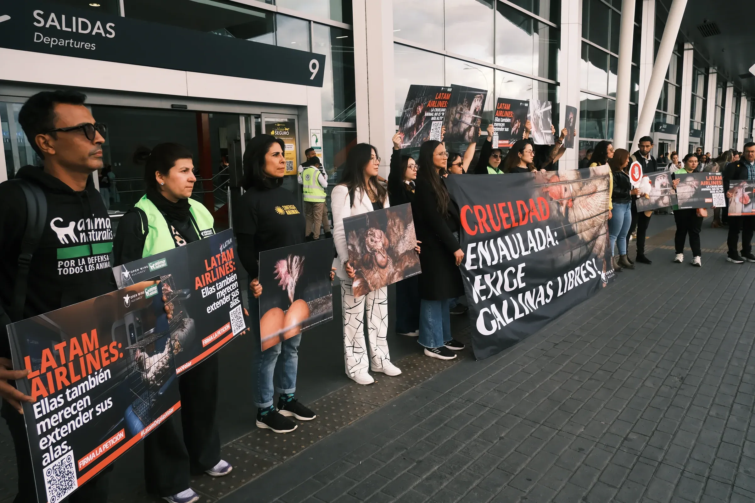 Fila de activistas en la zona de Salidas del aeropuerto con carteles de gallinas enjauladas y una pancarta que dice «Crueldad enjaulada. Exige gallinas libres».
